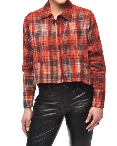 Tulip Clothing Cecilia Button Down Shirt In Johnstone Flannel