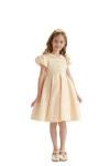 Tulleen Barrymore Teacup Buttoned Dress In Champagne