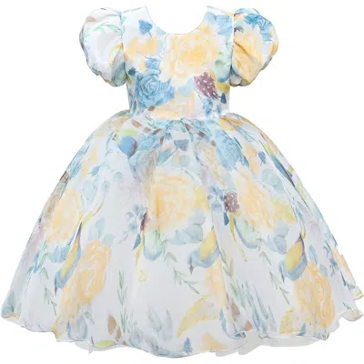 Tulleen Kids' Blue Chablis Floral Garden Organza Dress In Multi