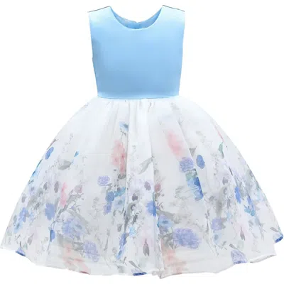 Tulleen Kids' Blue Mabel Floral Garden Organza Dress