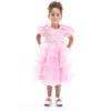 Tulleen Bonaventura Dress In Pink