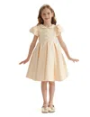 Tulleen Barrymore Teacup Buttoned Dress