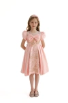 Tulleen Kids'  Leona Dress In Blush