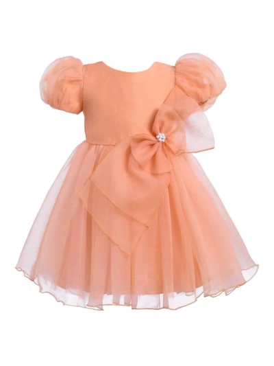 Tulleen Little Girl's & Girl's Organza Dress In Peach