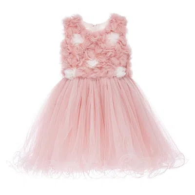 Tulleen Kids' Cambriana Floral Tulle Dress In Pink