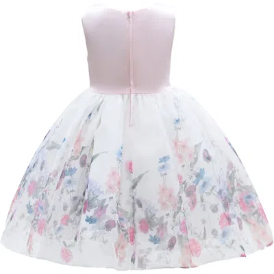 Tulleen Kids'  Pink Mabel Floral Garden Organza Dress