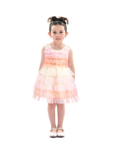 Tulleen Kids'  Pink Ruffle Layered Tulle Dress