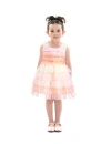 Tulleen Ruffle Layered Tulle Dress