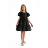 Tulleen Wiona Tulle Dress In Black