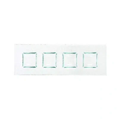 Turgla Home Divided Serving Dish In Clear
