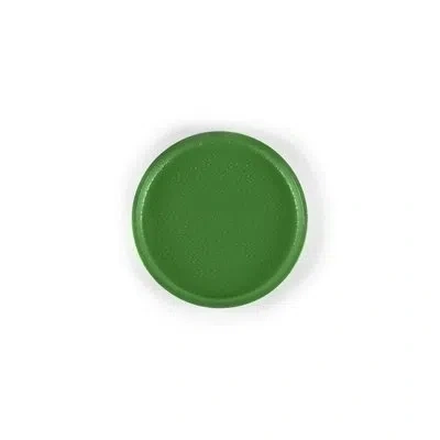 Turgla Home Glass Dinnerware Dia.9.5" Round Paprika Glass Plate In Green