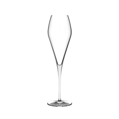 Turgla Home Neutrals Fantasy Crystal Champagne Glasses, Set Of Two