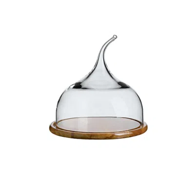 Turgla Home Neutrals Senses™ Large Glass Dome With Wood Base