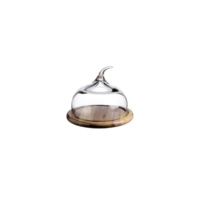 Turgla Home Neutrals Small Glass Dome With Wood Base