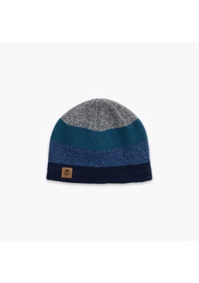 Turtle Fur Btv Wool Beanie In Blue