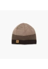 Turtle Fur Btv Wool Beanie In Brown