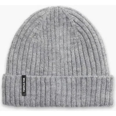Turtle Fur Clara Beanie In Gray
