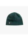 Turtle Fur Fleece Multi-season Beanie In Green