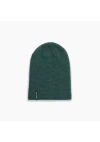 Turtle Fur Frostline Slouch Beanie In Gray
