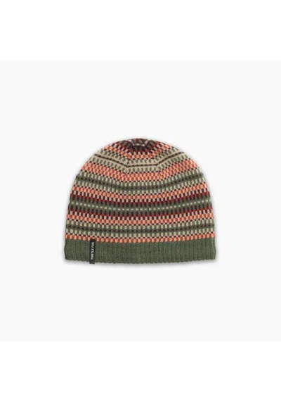 Turtle Fur Merino Wool Lloyd Beanie In Multi