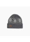 Turtle Fur Mount Snow Wool Beanie In Gray