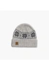 Turtle Fur Mount Snow Wool Beanie In Gray