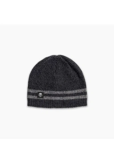 Turtle Fur Mr. Happy Wool Beanie In Gray