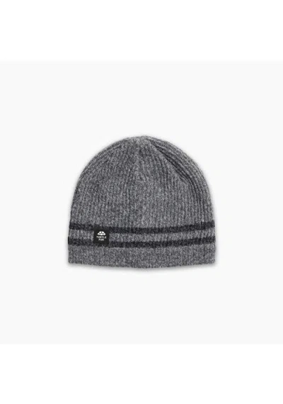 Turtle Fur Mr. Happy Wool Beanie In Gray
