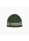 Turtle Fur Mr. Happy Wool Beanie In Green