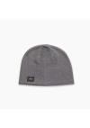 Turtle Fur Solid Merino Wool Beanie In Gray