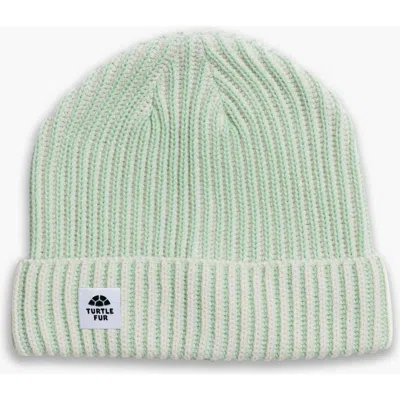Turtle Fur Sugarshack Watch Cap, Mint In Green