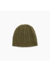Turtle Fur Wesley Winter Hat In Green