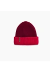 Turtle Fur Whitman Wool Winter Hat In Burgundy