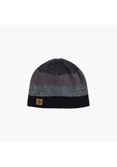 Turtle Fur Youth Btv Wool Beanie In Black