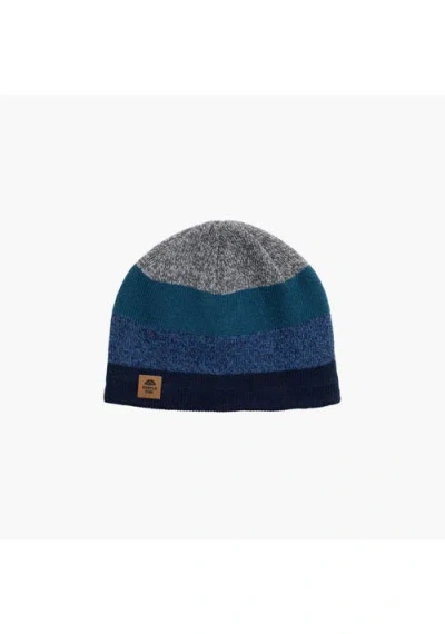 Turtle Fur Youth Btv Wool Beanie In Blue