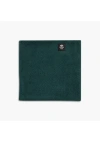Turtle Fur Youth Double-layer Fleece Neck Warmer In Green