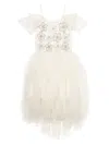 Tutu Du Monde Gallery Embroidered Tutu Dress In Neutrals
