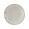 Tuxton Artisan Dinner Plate In Geode Agave White