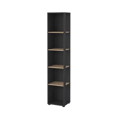 TVILUM SIGN OPEN NARROW 5 SHELF BOOCKASE, MATTE GREY/JACKSON HICKORY
