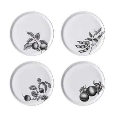 Twig New York Olive Market 6.5" Bone China Bread And Butter Plate In Black;white