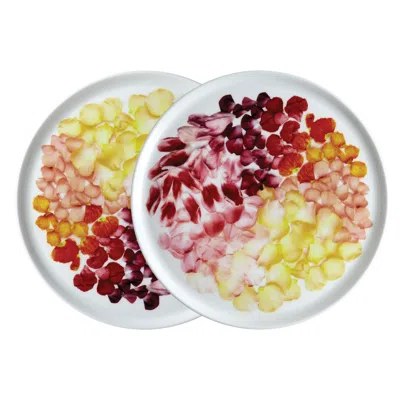 Twig New York White Petals -​ Set Of Two Plates
