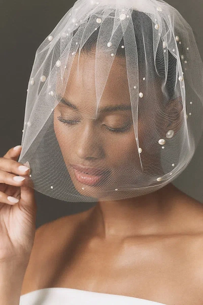 Twigs & Honey Pearled Birdcage Veil In White