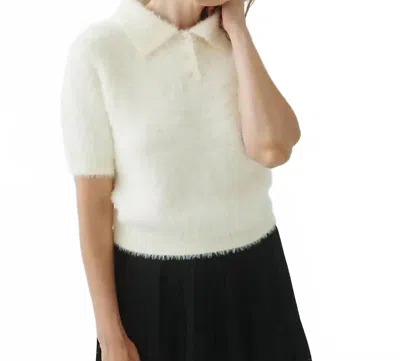 T.w.i.n. That’s What I Need Fuzzy Cropped Polo In Cream In Multi