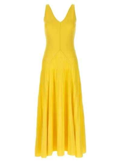 Twinset Celandin Dress In Yellow