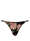 Twinset Dévoré Briefs In Black