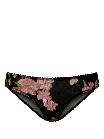Twinset Devoré Velvet Briefs In Black