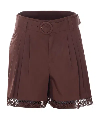 Twinset Adjustable Waistband Shorts In Brown
