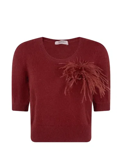 Twinset Feather-embellished Short-sleeve Sweater In Black