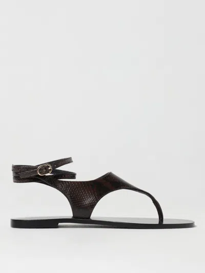 Twinset Flat Sandals  Woman Color Brown