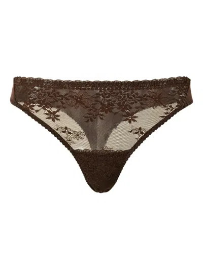 Twinset Floral Lace Thong In Brown